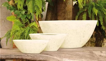 fleur ami POLYSTONE BOAT Pflanzgefäß