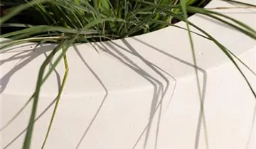 fleur ami POLYSTONE CONICAL Pflanzgefäß