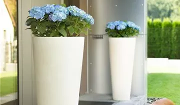 fleur ami POLYSTONE CONICAL Pflanzgefäß