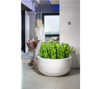 fleur ami PREMIUM CLASSIC Bodengefäß