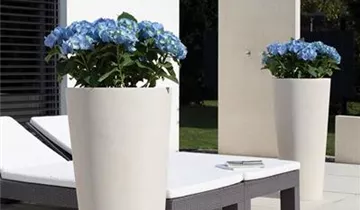 fleur ami POLYSTONE CONICAL Pflanzgefäß