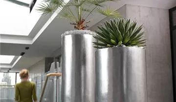 fleur ami PANDORA Pflanzgefäß