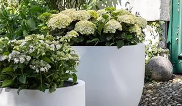 fleur ami TRIBECA SHAPE Pflanzkübel