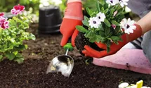 Seramis Gärtnererde 2plus1 40 l