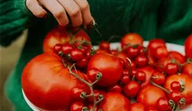 Westland Tomaten- und Gemüseerde 20 l