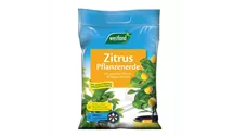 Westland Zitruspflanzenerde 8 l