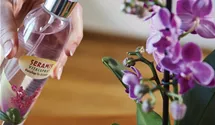 Seramis Vitalspray Blattpflege für Ochideen 250 ml