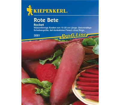 Rote Beete 'Rocket'