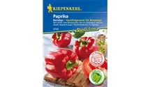 Capsicum annuum 'Bendigo F1'