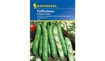 Vicia faba 'Dreifach Weiße'