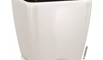 Komplettset mit Bewässerungssystem