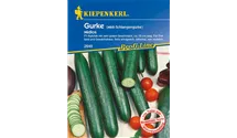 Cucumis sativus 'Midios F1'