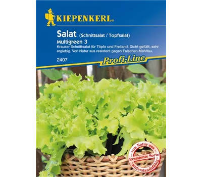 Eisbergsalat 'Multigreen 3'