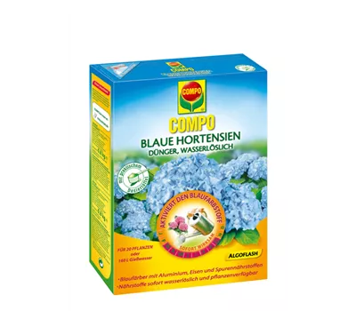 Compo Blaue Hortensien 