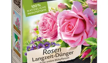 Compo BIO Rosen Langzeit-Dünger mit Schafwolle 