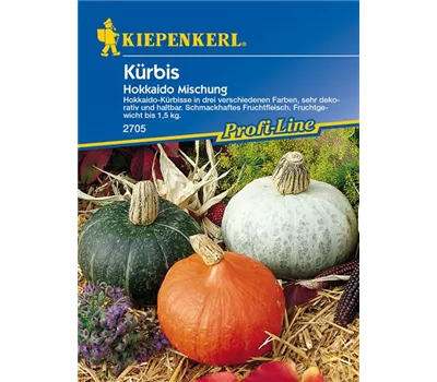 Kürbis 'Hokkaido'