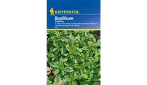 Ocimum basilicum 'Feinblättriges Grünes'