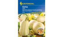 Cucurbita pepo 'Tiana'