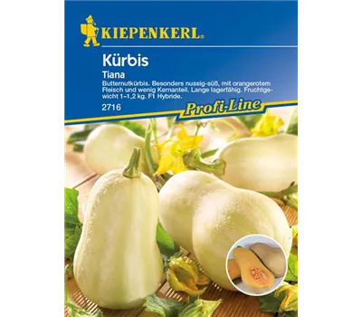 Kürbis 'Tiana'