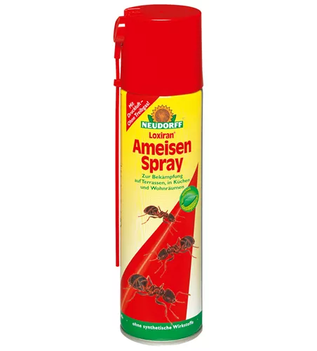 Loxiran AmeisenSpray