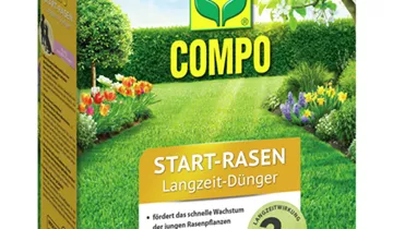 Compo Start-Rasen Langzeit-Dünger 