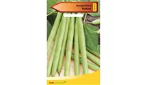 Phaseolus vulgaris var. vulgaris 'Markant'