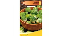 Brassica oleracea var. gemmifera 'Hilds Ideal'