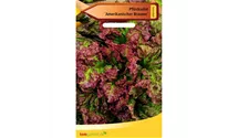 Lactuca sativa var. crispa 'Amerikanischer Brauner'
