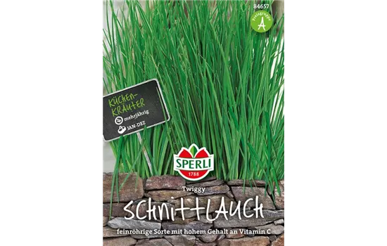 Schnittlauch 'Twiggy'