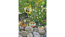 Wildblumen