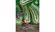 Cucurbita pepo subsp. pepo convar. giromontiina 'Striato d´Italia'