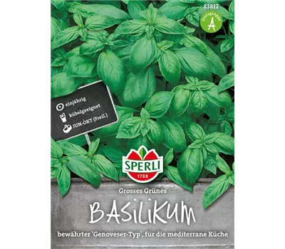 Garten-Basilikum 'Großes Grünes'