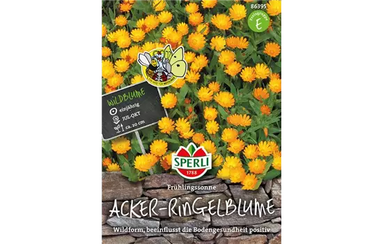 Acker-Ringelblume 'Frühlingssonne'