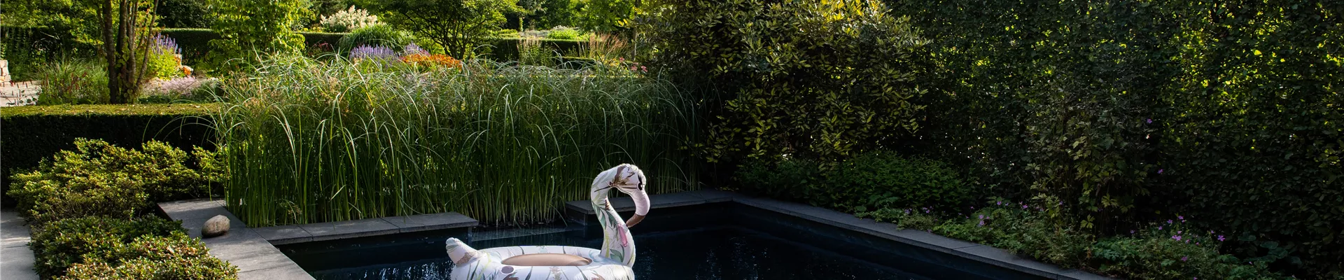 Gartenimpression - Poolanlage