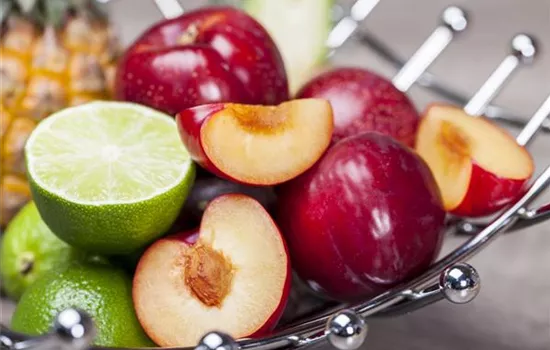 Wie man Obst vor Schädlingen schützen kann Wie man Obst vor Schädlingen schützen kann