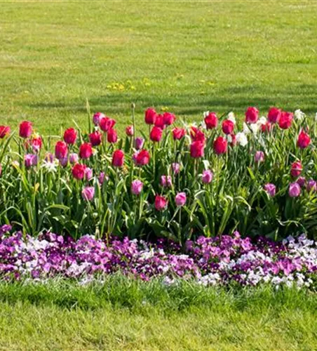 Wie ein pflegeleichter Garten gestaltet wird