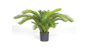fleur ami CYCASPALME DELUXE Kunstpflanze