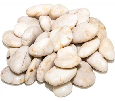 fleur ami ROCKS Flusskiesel