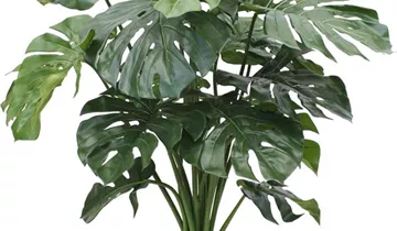 fleur ami MONSTERA DELUXE Kunstpflanze