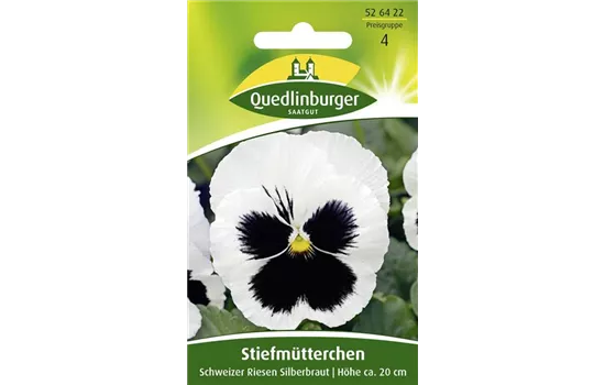 Stiefmütterchensamen 'Schweizer Riesen Silberbraut'