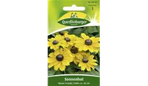 Rudbeckia hirta 'Meine Freunde'