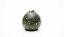 Cucurbita pepo subsp. pepo convar. giromontiina 'Eight Ball'