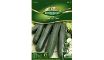 Cucurbita pepo subsp. pepo convar. giromontiina 'Leila F1'