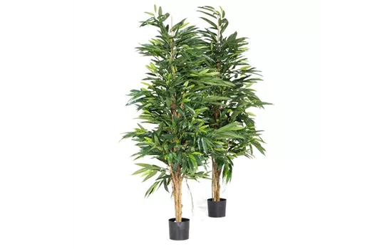 fleur ami LONGIFOLIA ROYAL NATURAL Kunstpflanze