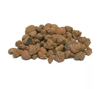 fleur ami Lamstedt-Ton (8-16 mm)