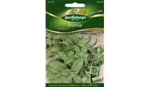 Stevia rebaudiana