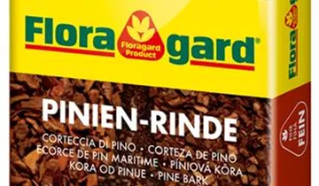 Bodenbelag aus feiner Pinienrinde