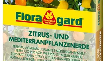 Spezialerde für Zitruspflanzen und mediterrane Kulturen wie Olivenbäume oder Oleander