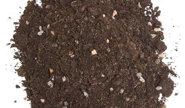 Spezialerde für Zitruspflanzen und mediterrane Kulturen wie Olivenbäume oder Oleander