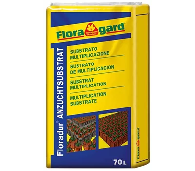 Floragard Floraton 3